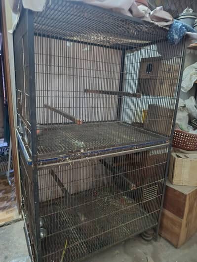 Cage for conure