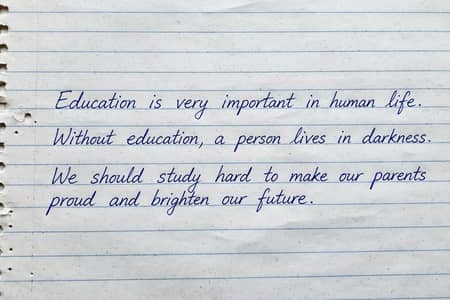 Professional CV Resume & Handwritten Assignment Service