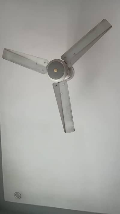 Ceiling Fan