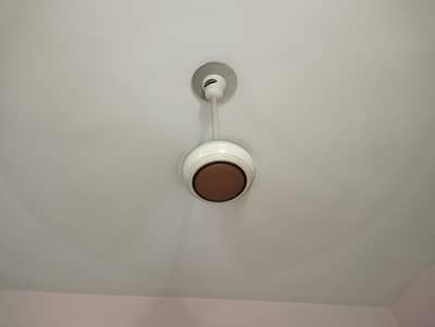 ceiling fans
