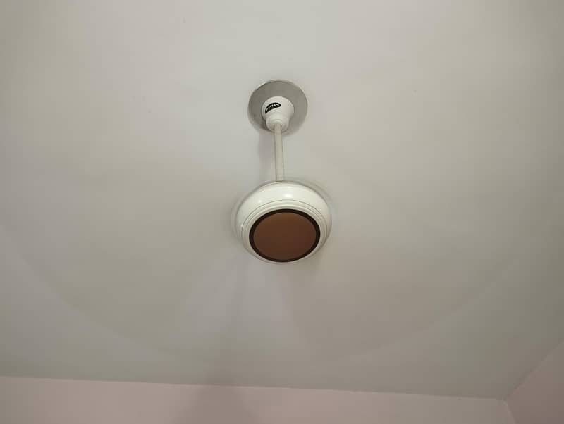 ceiling fans 0