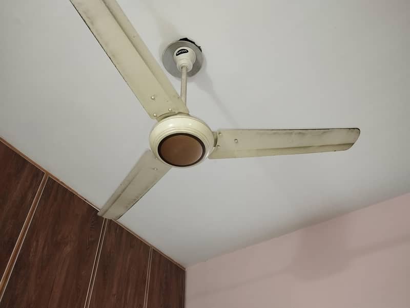 ceiling fans 1
