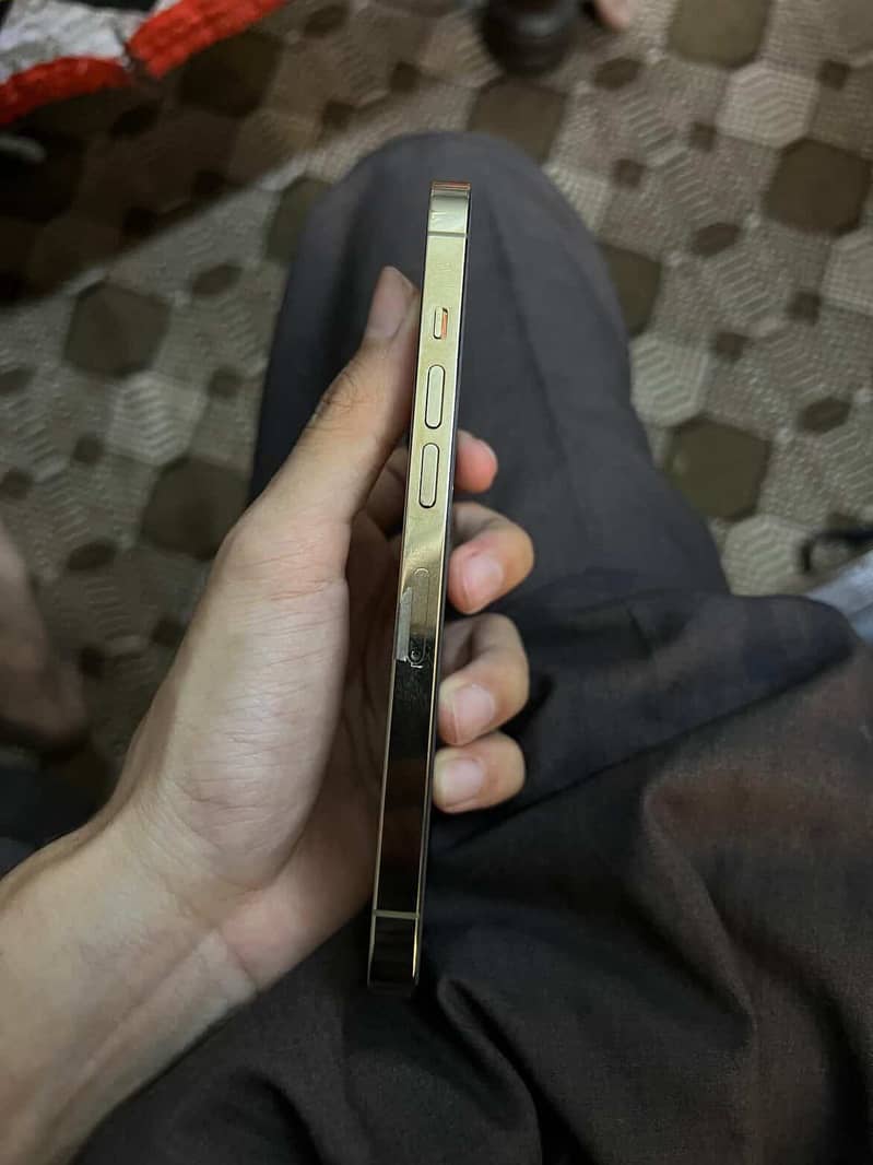 Apple iPhone 13 Pro 1