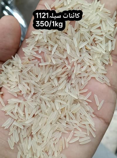 kainat steam Rice 1121