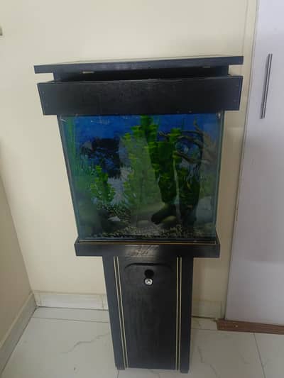 Fish aquarium with accessories