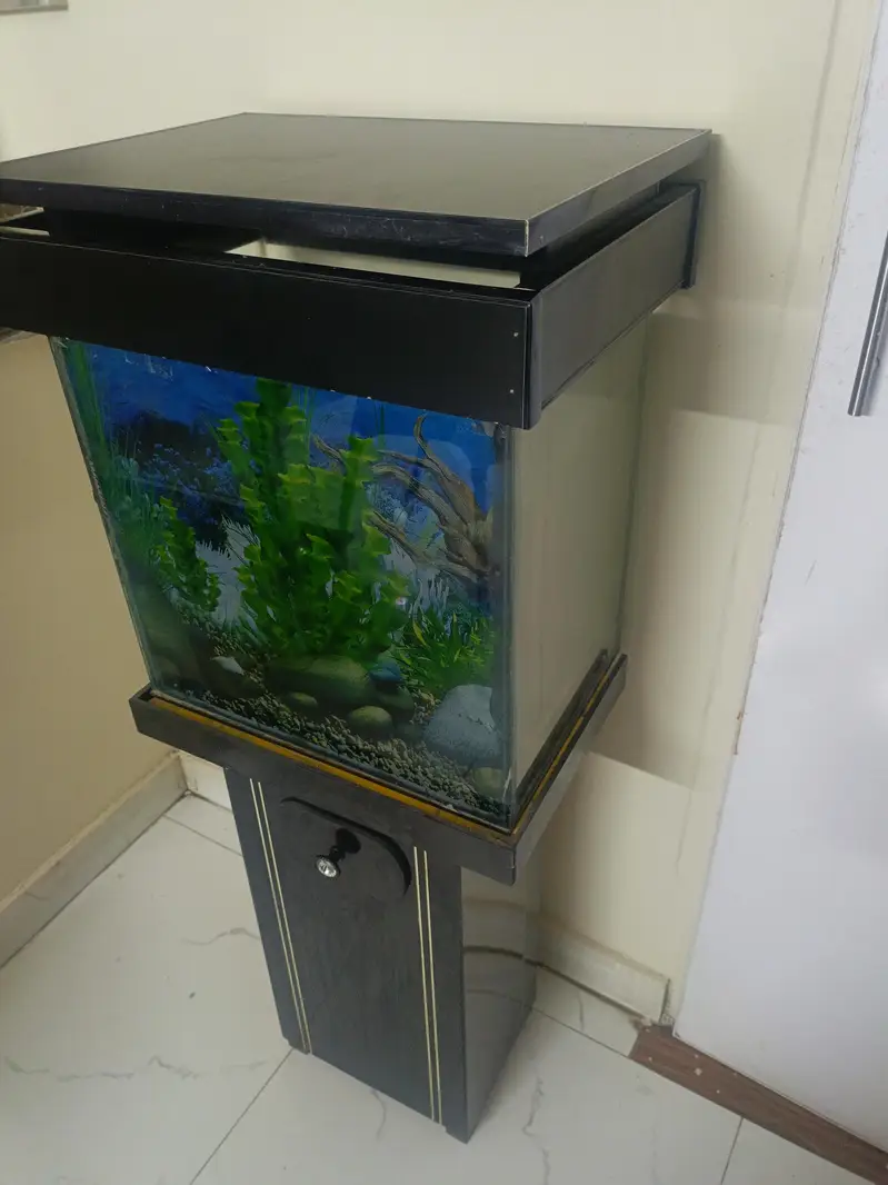 Fish aquarium with accessories — photo 2