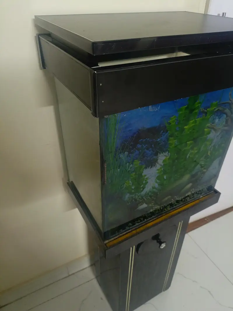 Fish aquarium with accessories — photo 3