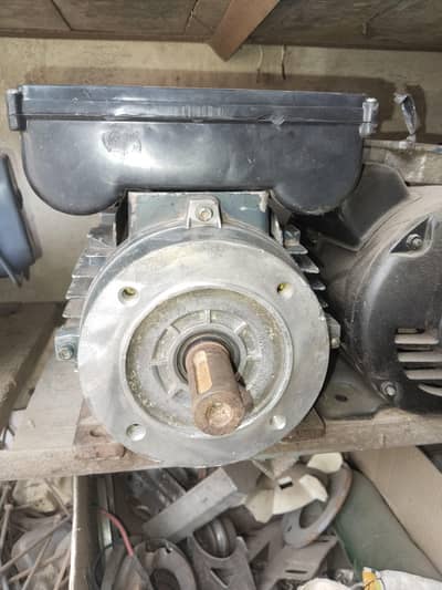 induction motor 3hp 2800rpm copper winding Italian motor