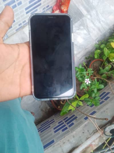 Apple iPhone 11 exchange posible