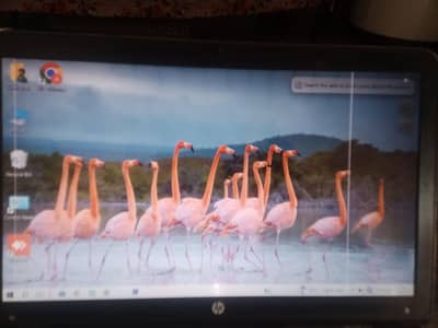 hp 450 g3 8 gb ram 256 gb SSD core i5 6th generation