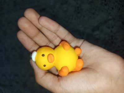 Ducks 