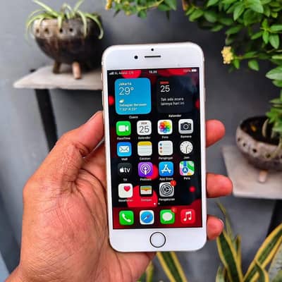 Apple iPhone 6S Plus