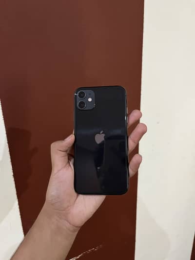 iPhone 11 Waterpack