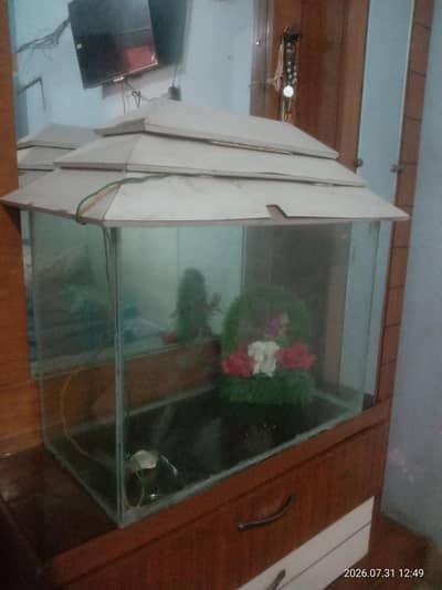 Fish Aquarium