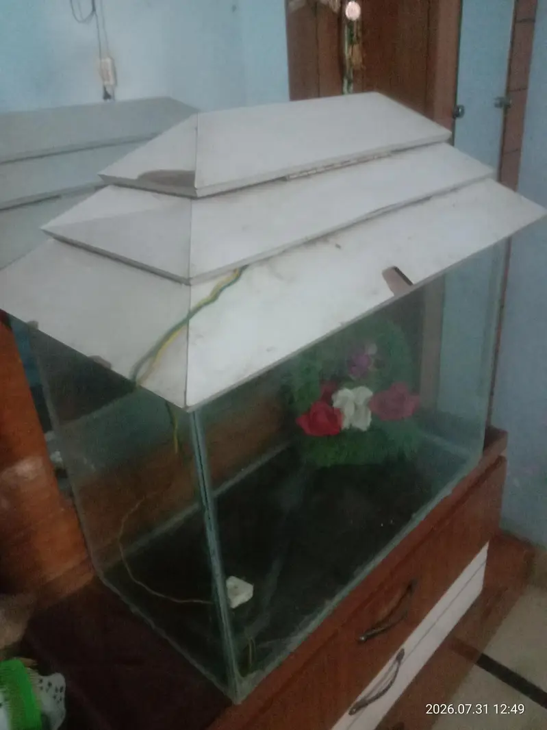Fish Aquarium — photo 2
