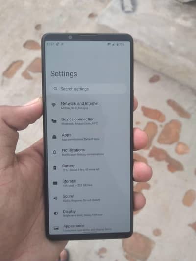 snapdragon 888 (12/256)