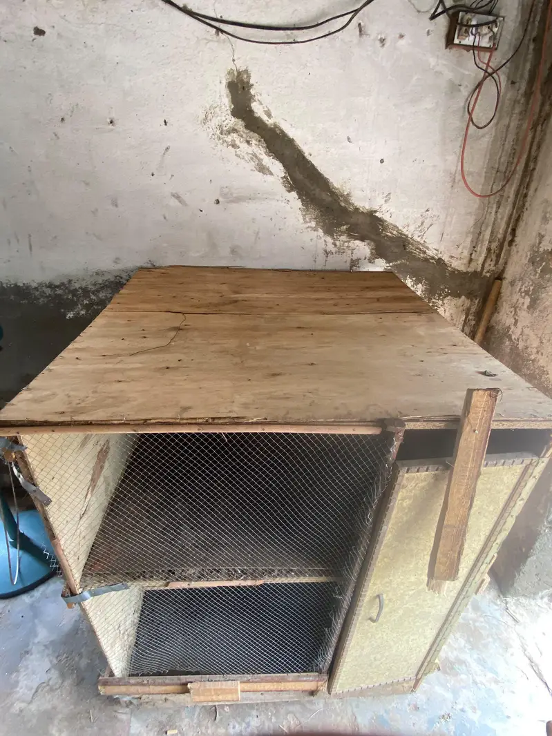 hen cage for sale — photo 4