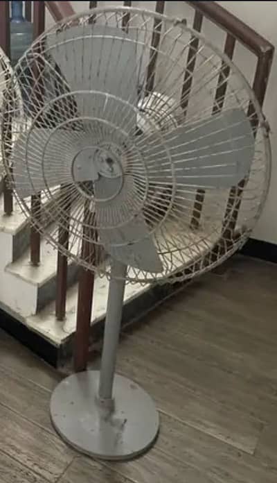 Pedestal Fans