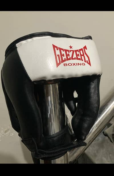 boxing gloves & professional head