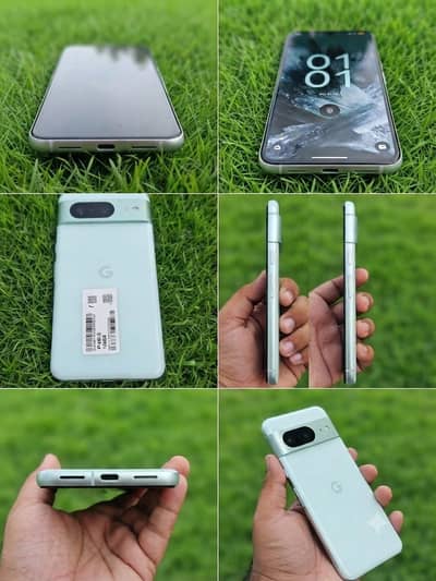 Google Pixel 8 shoreline panel