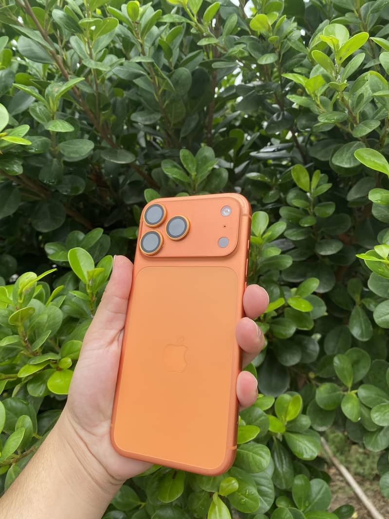 Apple iPhone 17 Pro Max 0