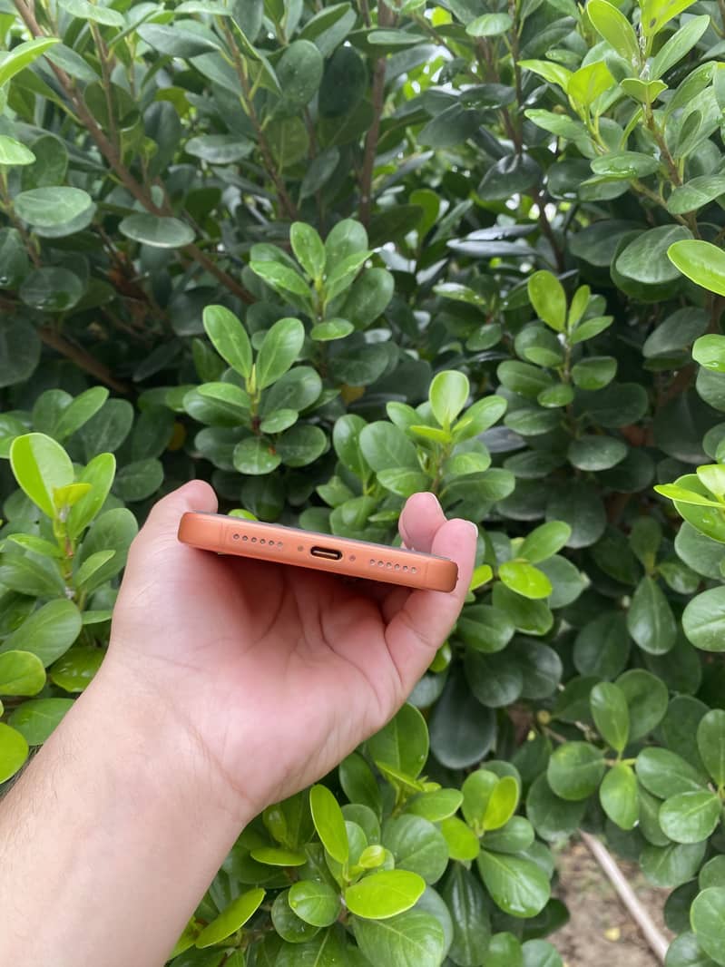 Apple iPhone 17 Pro Max 5