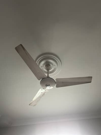 GFC Ceiling Fan