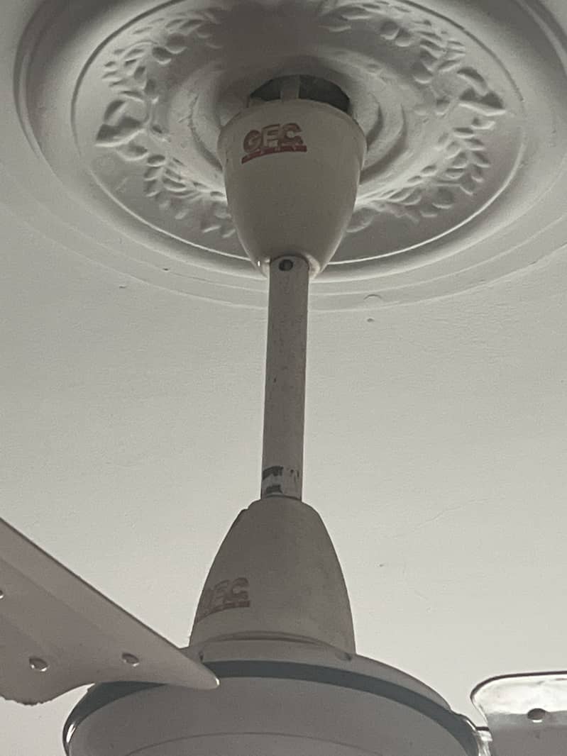 GFC Ceiling Fan 1