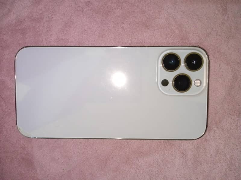 Apple iPhone 13 Pro Max 1