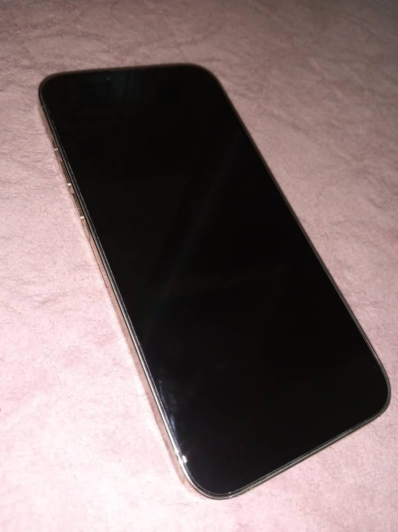 Apple iPhone 13 Pro Max 3
