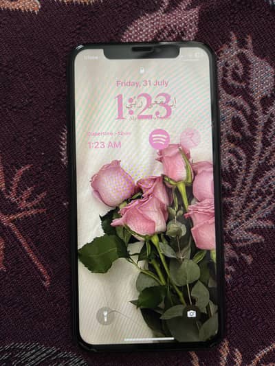 Apple iPhone X