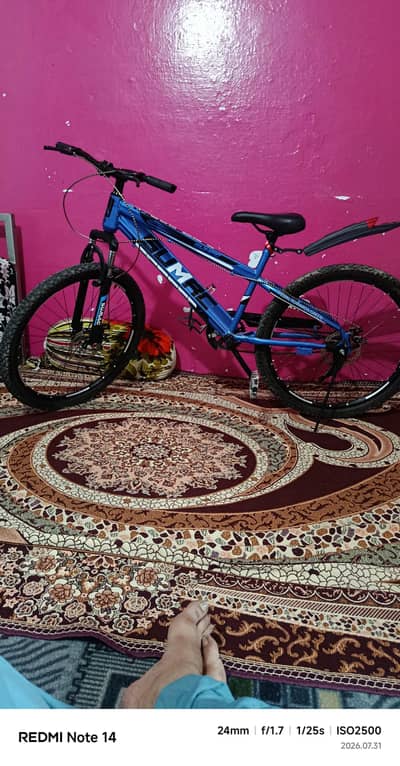 Mountain bike