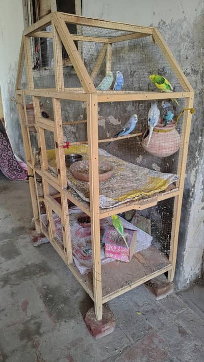 Full Cage with Budgies