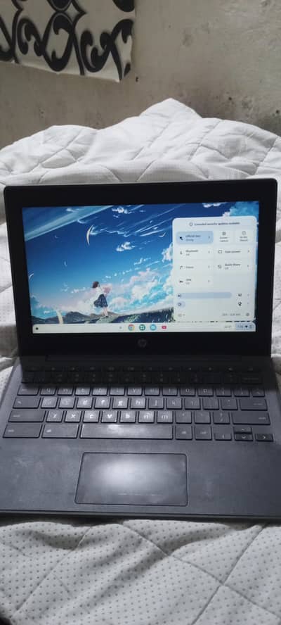 hp chrome book