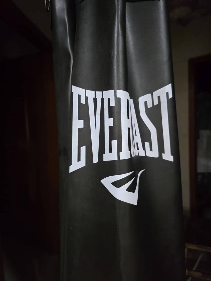 punching bag 1