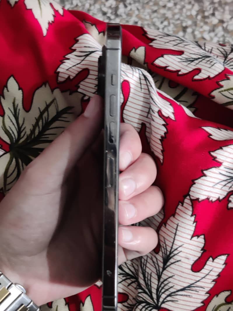 Apple iPhone 13 Pro Max 1