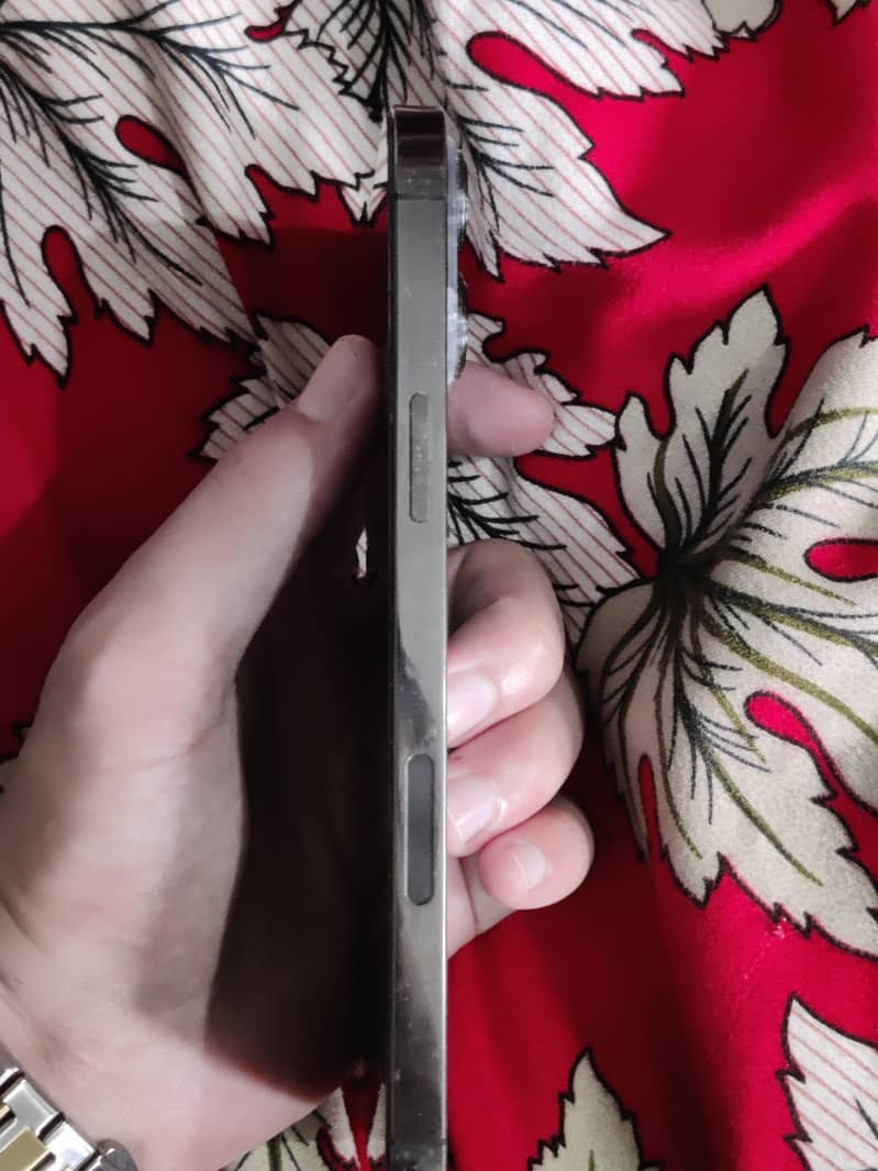 Apple iPhone 13 Pro Max 3