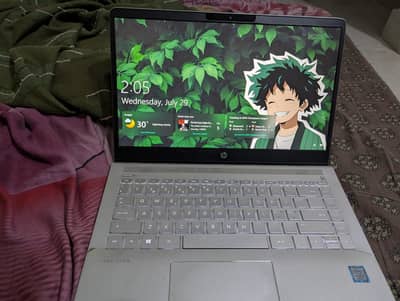HP pavilion