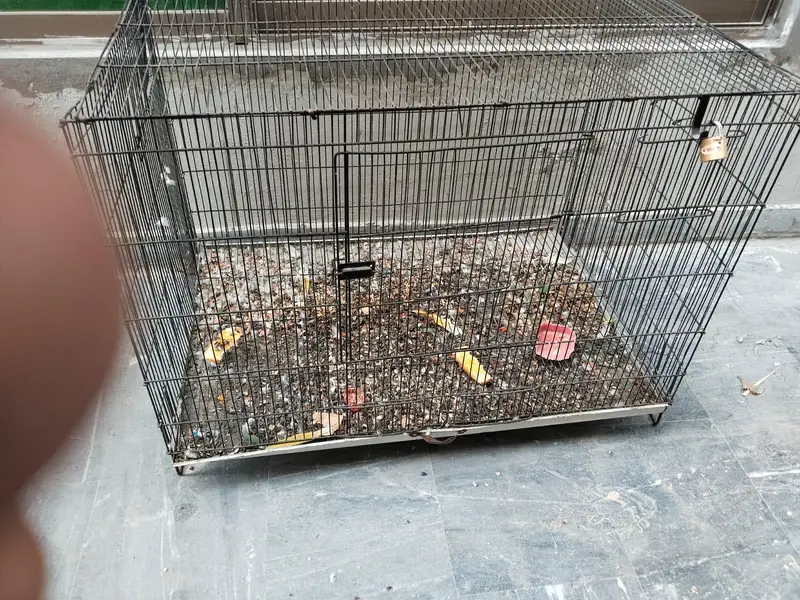 Parrot cage 10by10 condition — photo 3