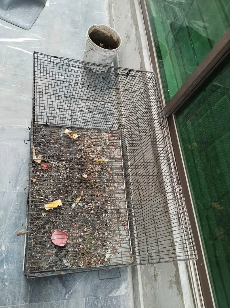 Parrot cage 10by10 condition — photo 6