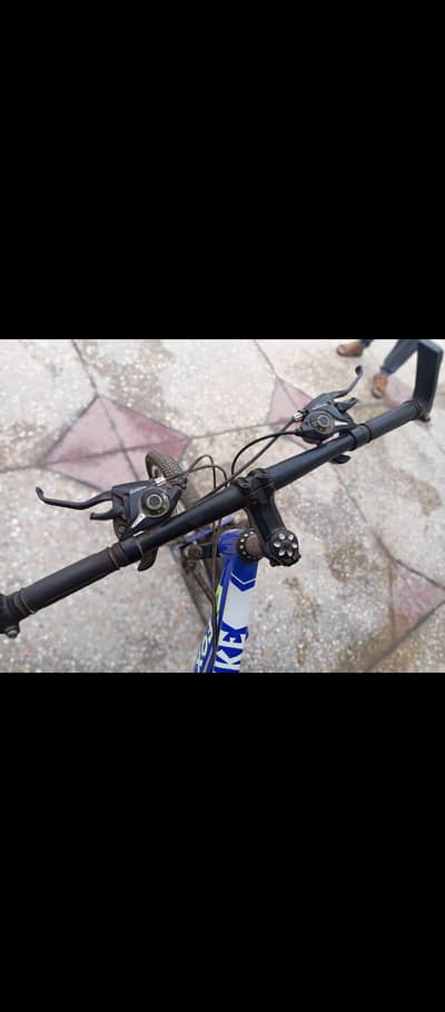 Fox bike gear system