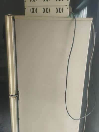 Pel Fridge