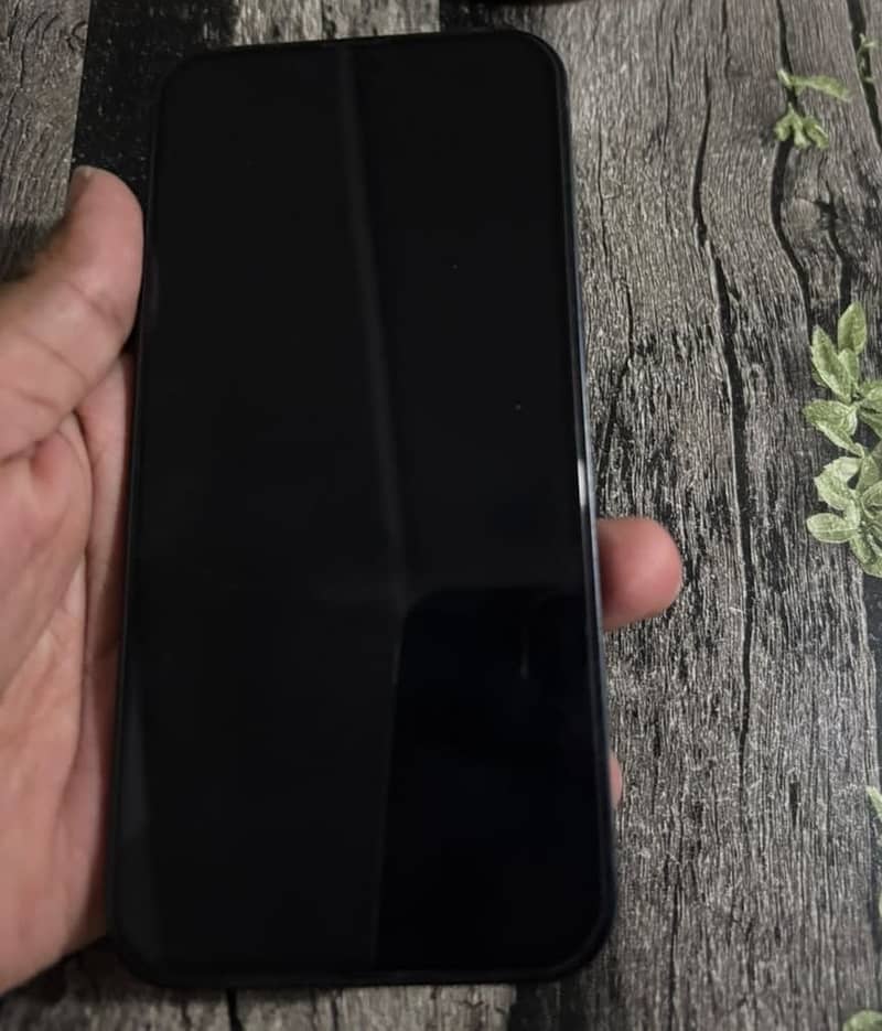 Apple iPhone 13 0