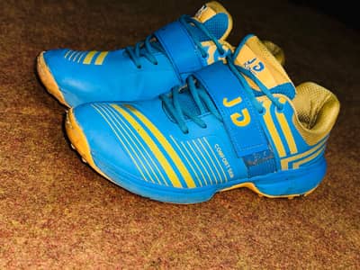 JD Griper Cricket Boots UK 9 number