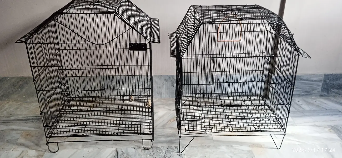 Cage For Sale — photo 2