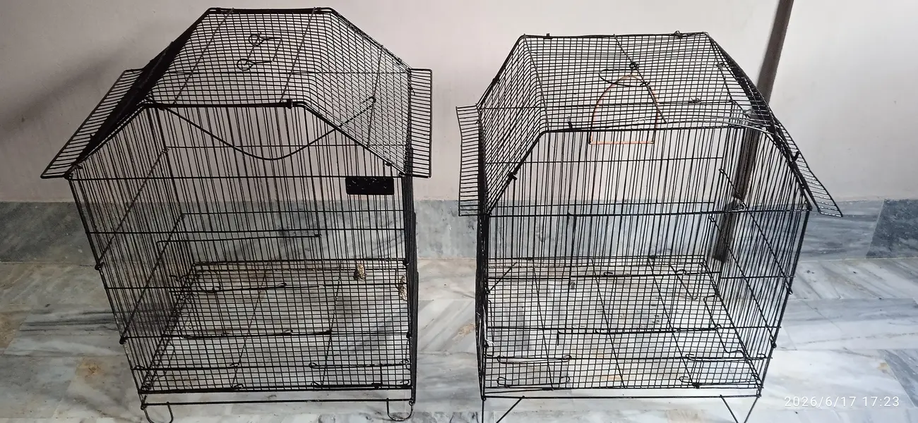 Cage For Sale — photo 5