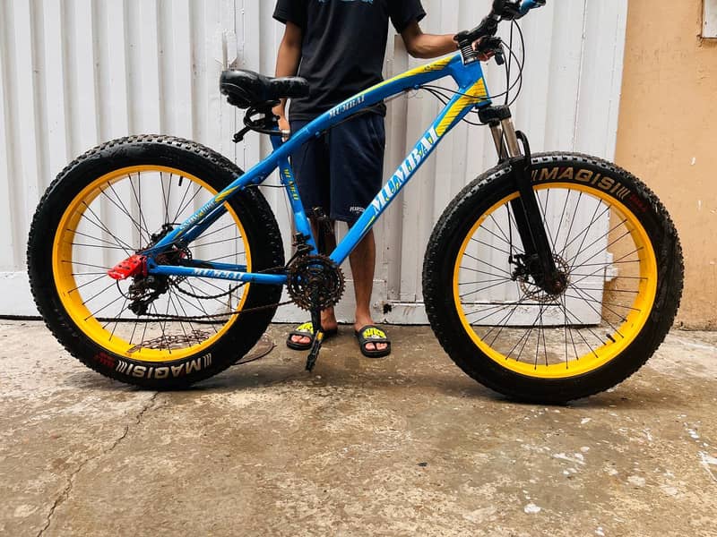 mountain bicycle 0