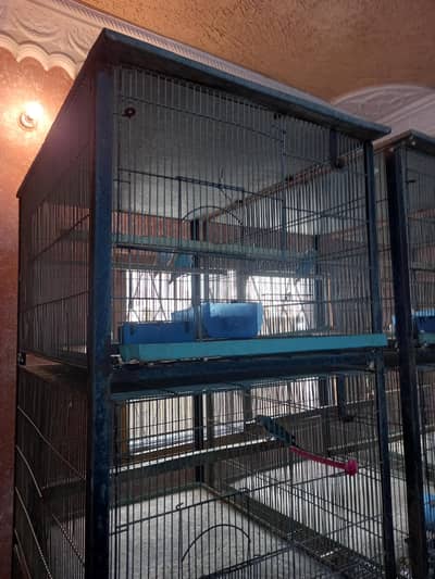 Bird cage