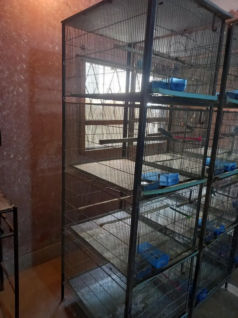 Bird cage — photo 2