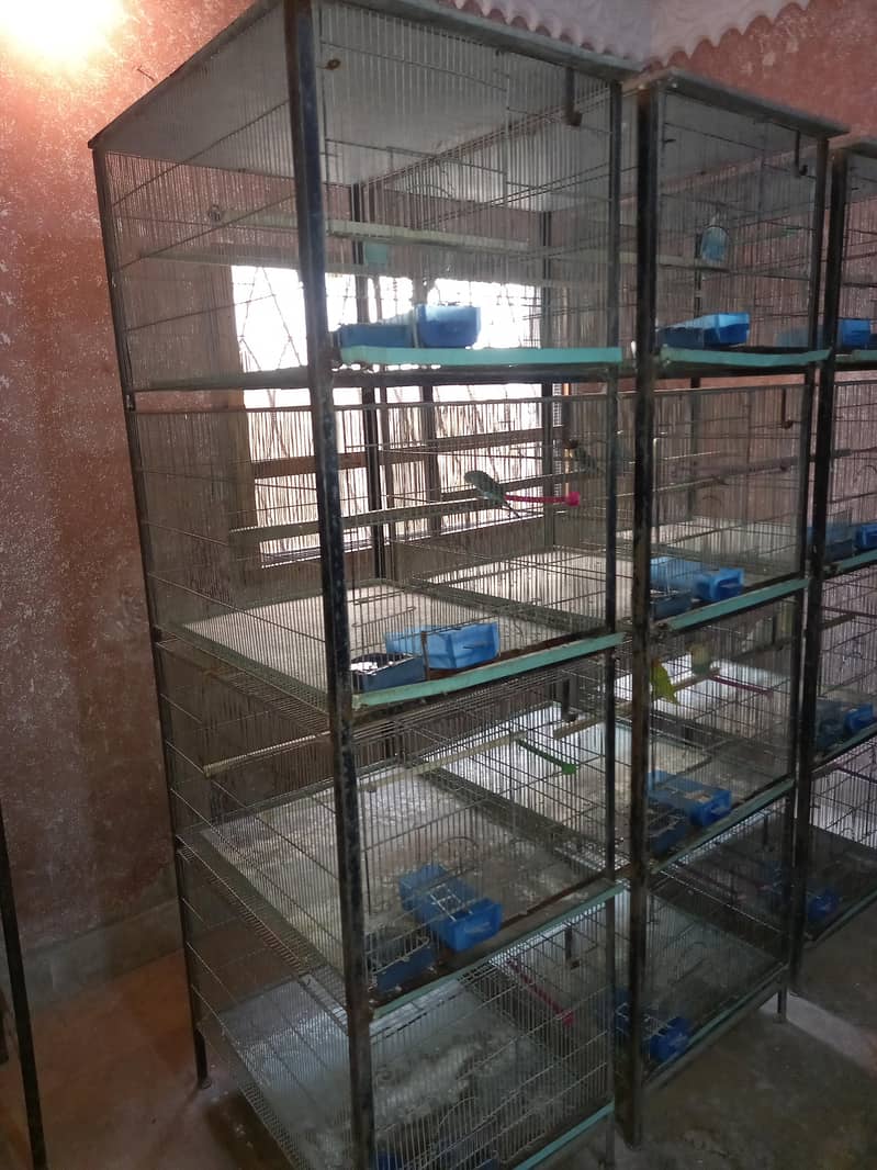 Bird cage 7